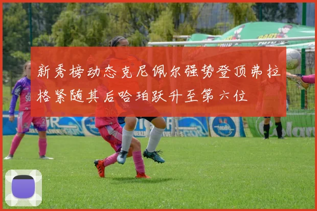 新秀榜动态克尼佩尔强势登顶弗拉格紧随其后哈珀跃升至第六位