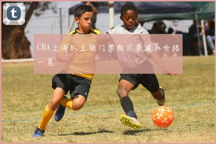 CBA上海队主场门票购买渠道和价格一览
